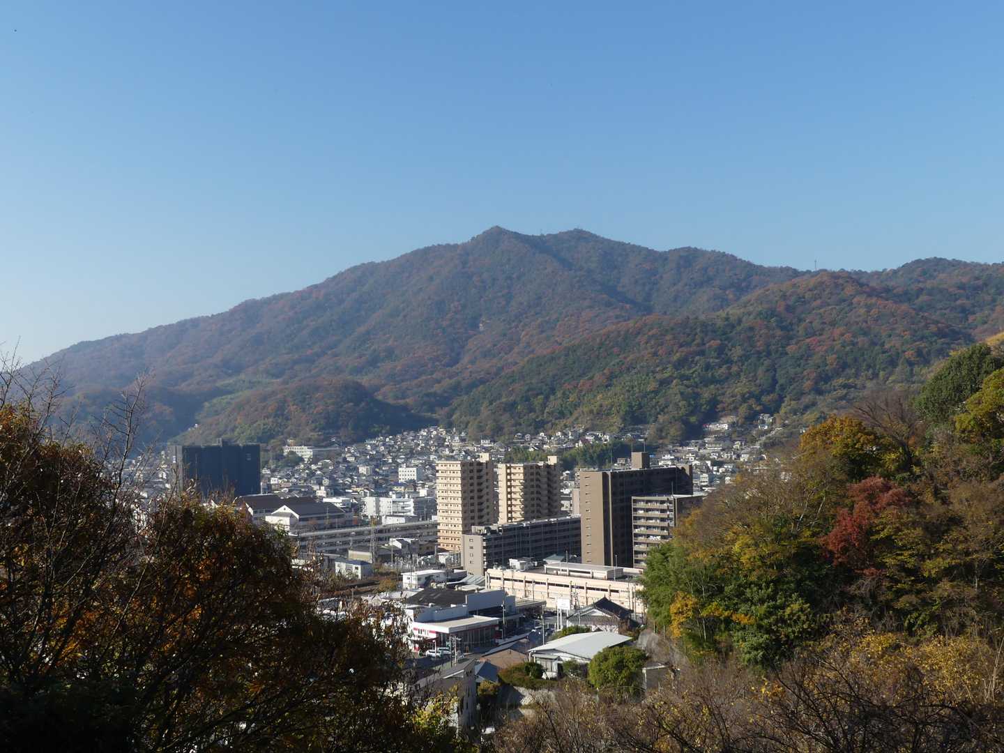 休山