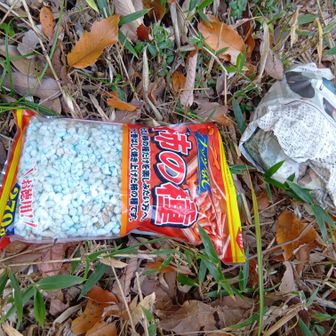 階段の1130段付近の岩にゴミが…！ストックで落としたら、袋にたっぷりのポリマー💢新聞紙に包んであるのは未確認。大きな袋が無いのでそのままにして下山。