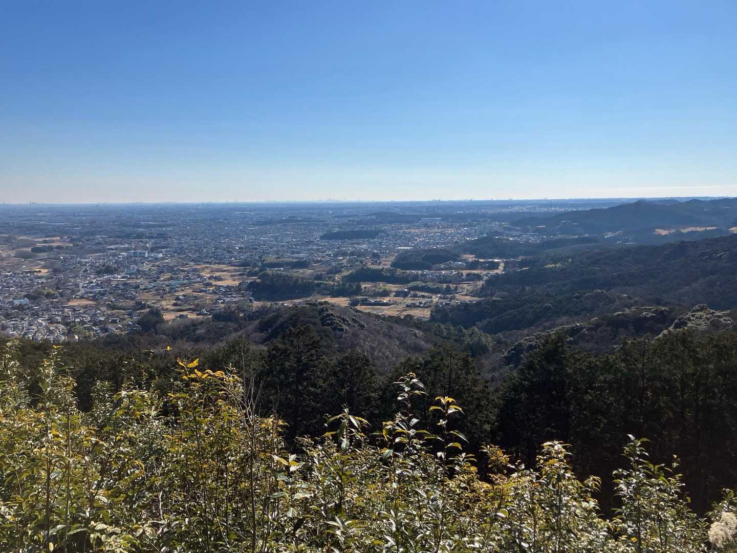 大観山-根っこ山-大高取山 往復コースの写真