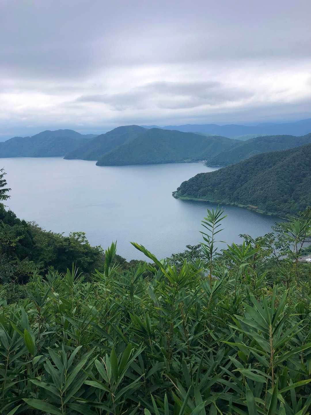 山頂手前。奥琵琶湖のベストビュー。