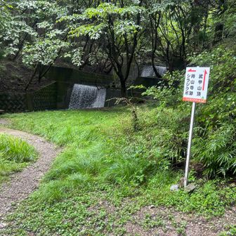 山頂目指してこっから帰ってくるワンよ