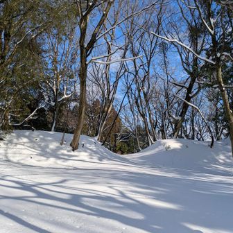 ここでも寄り道
その昔　秀吉の居た太閤ヶ平に