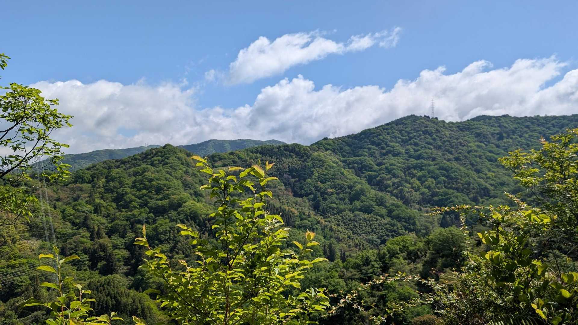 宝ヶ峯-淡路ヶ峠 縦走コースの写真