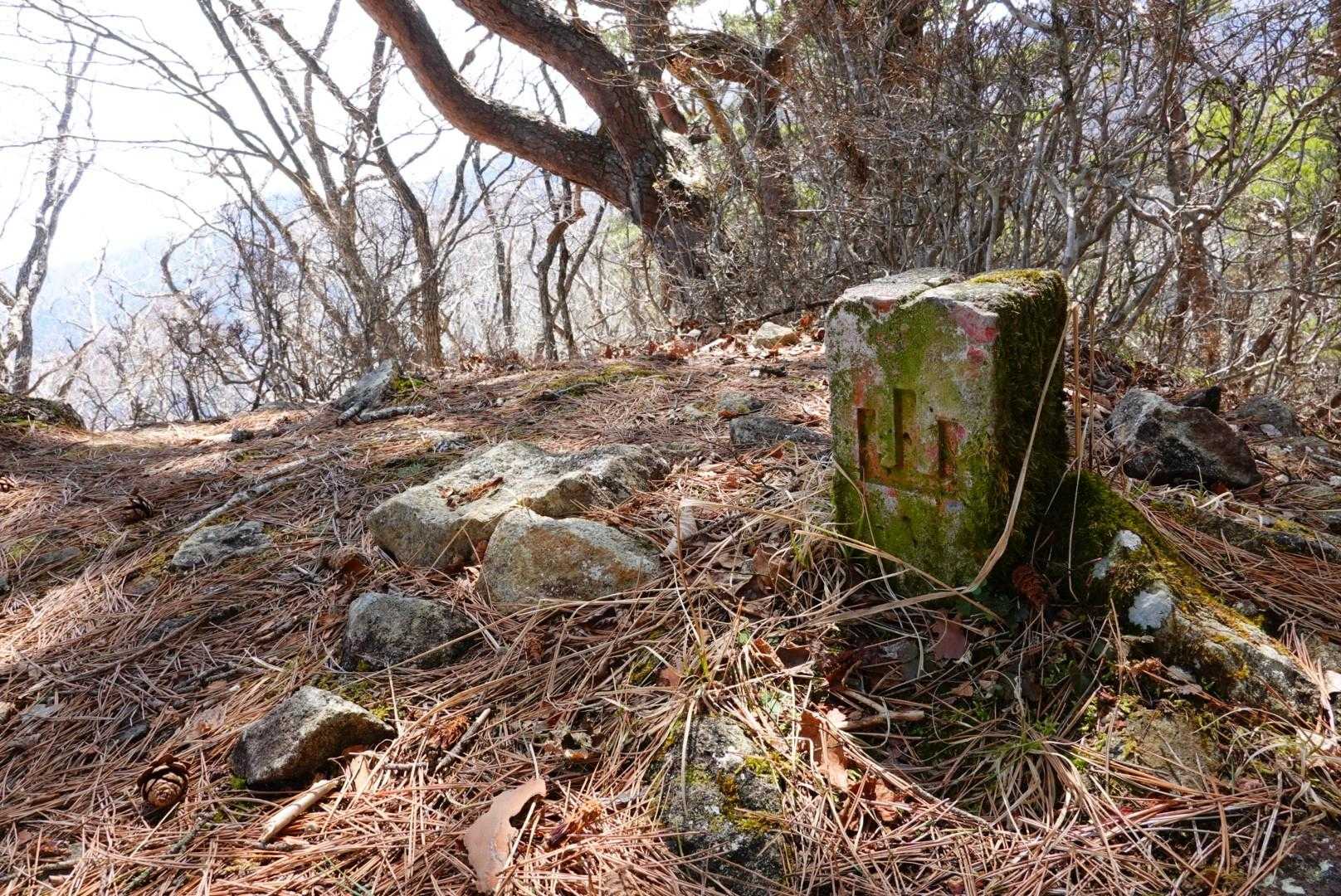 三才山、到着