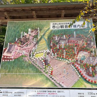 呑山観音寺に到着。おっきな寺院です。
今日はほぼ人が居なかったけど、駐車場はめちゃ広い。シーズンになると人が多いんだろうな。