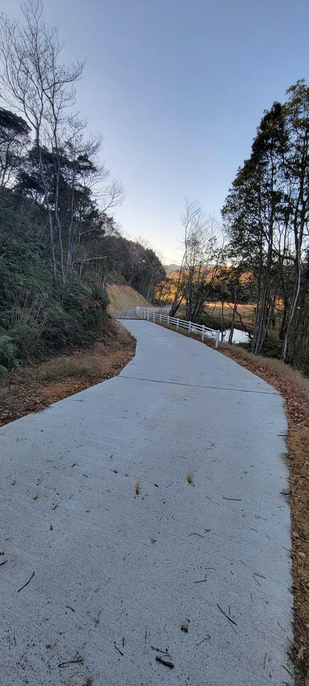 後は舗装道路を歩いて駐車場まで行きます