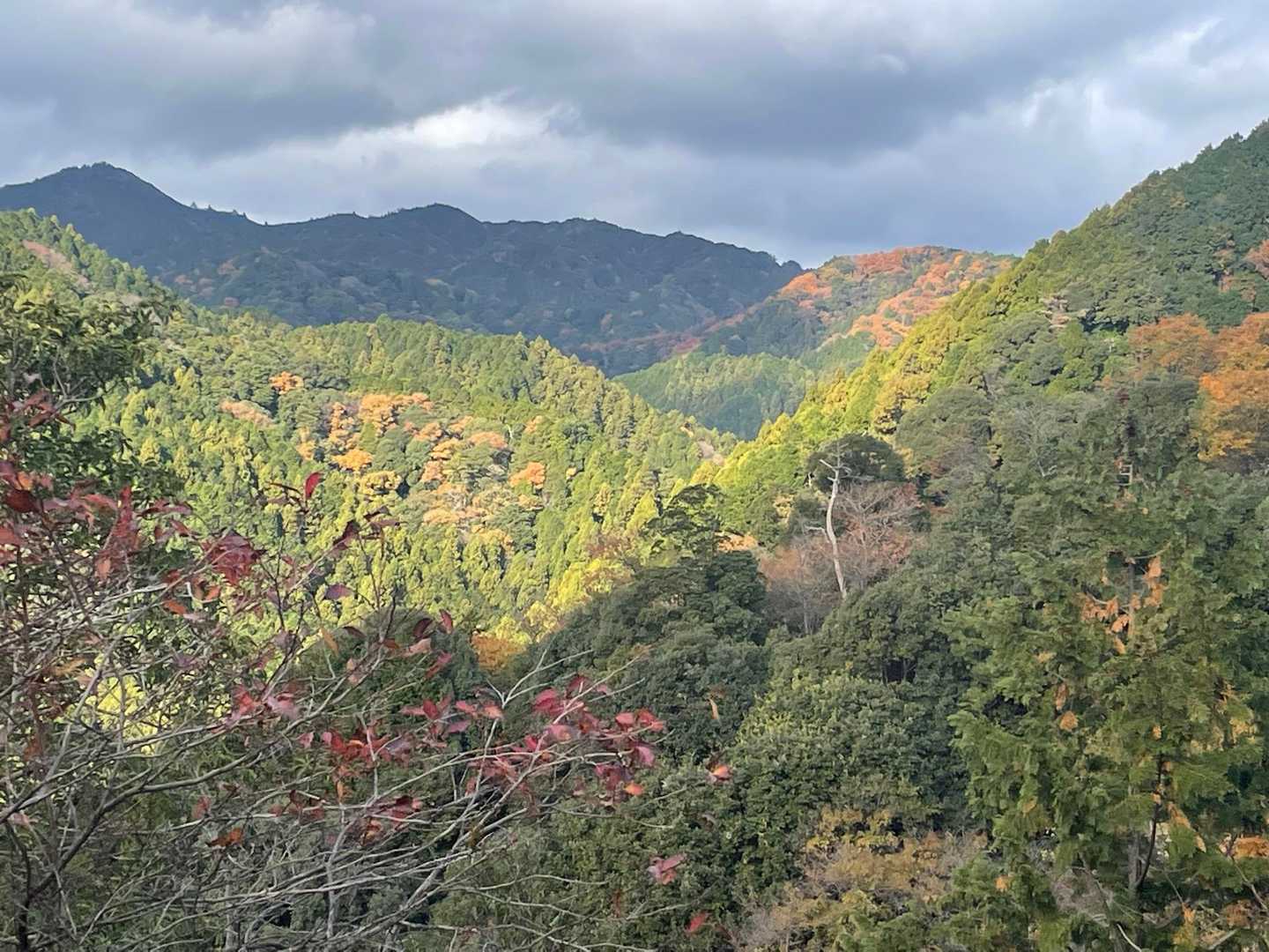 紅葉したお山が👀