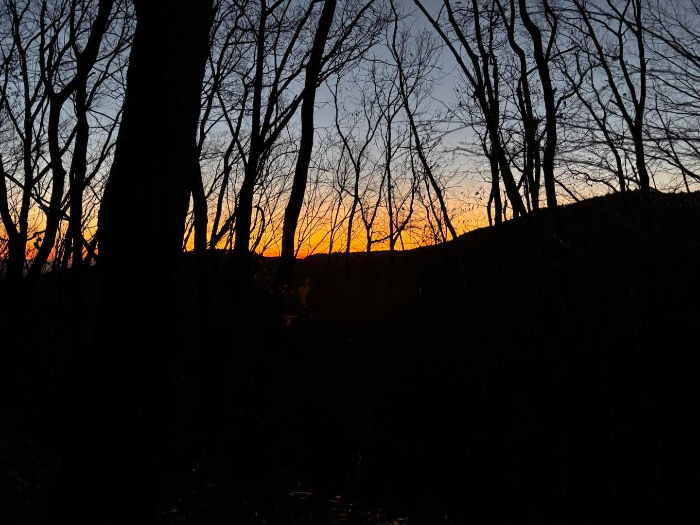今年の登りはじめ🏔️✨
