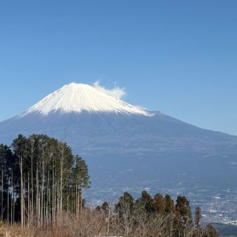名残り惜しいけど先に進みます。