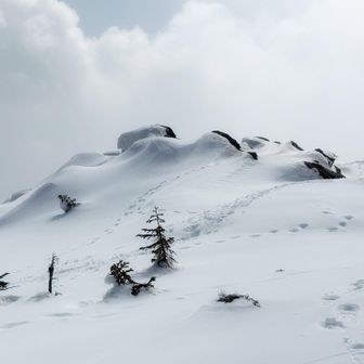 雪の描く曲線が好き