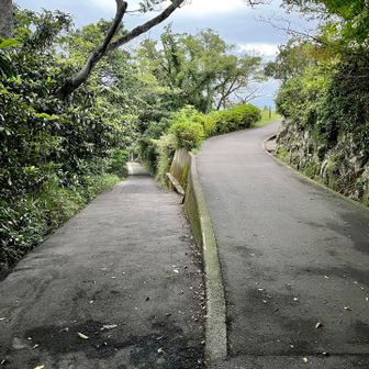 こちらの分岐左側から北嶺まで遊歩道が続いているみたいですが、今日は時間が足りないので戻ります