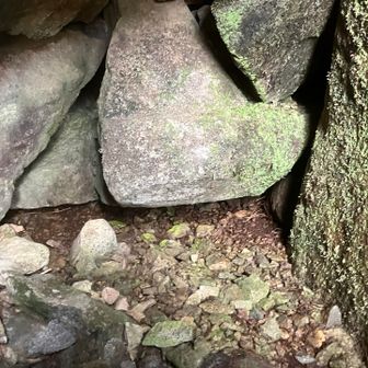 ひきで撮るとちょっと粗い