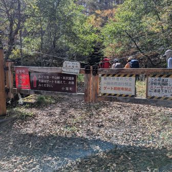 登山口。トイレはありません。