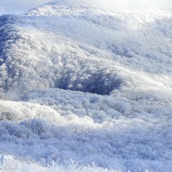外輪の霧氷の森。帰りはこの中を突っ切って歩きます。
