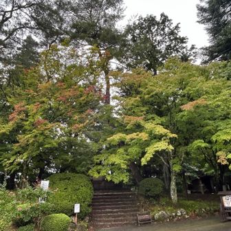 駐車場では🍁紅葉がちょっとずつ🍁