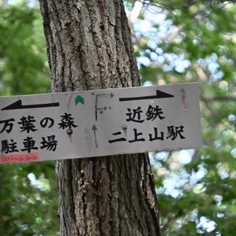 右方向、いきます