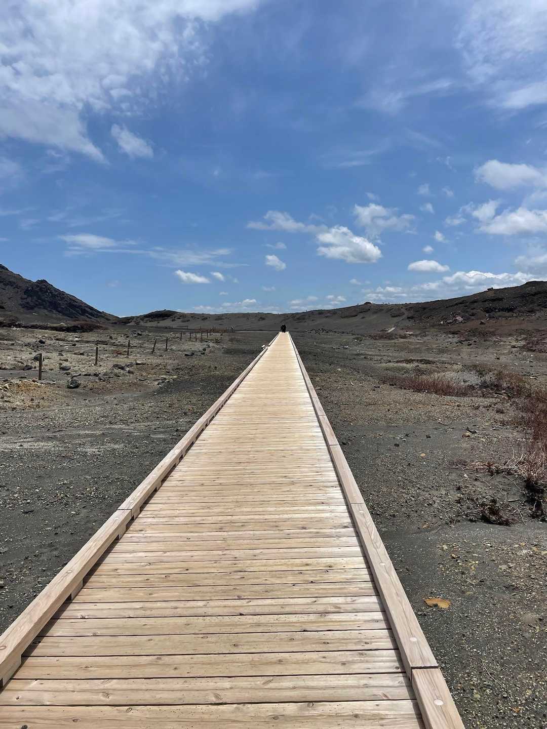 こちらも天国への道😅