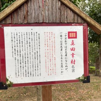 真田丸と言えば堺雅人