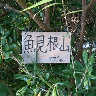 魚見根山〜雨乞塚〜健田富士〜峯山 / ももくんの登山データ | YAMAP