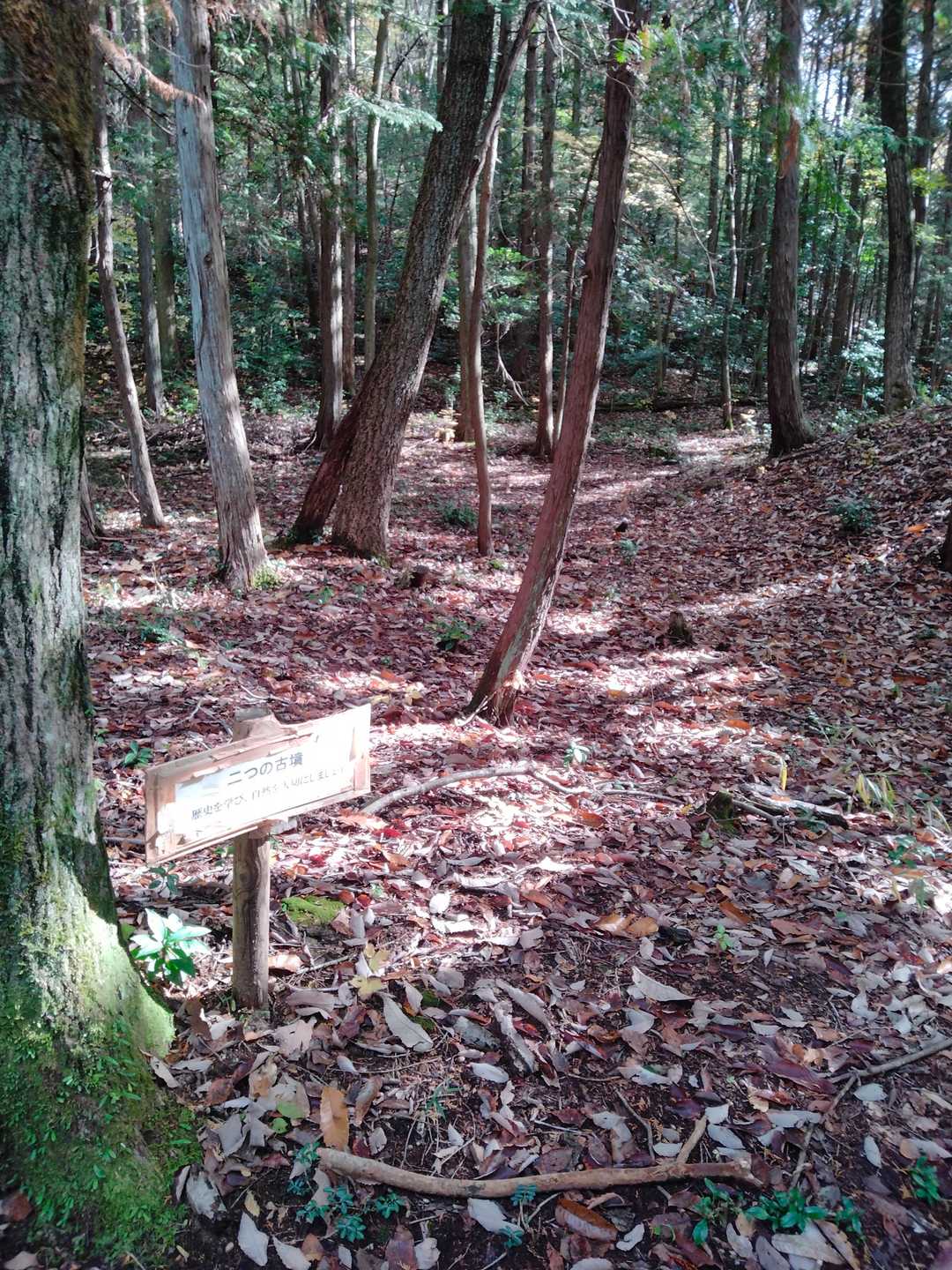 古墳が有り