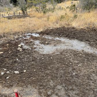 油膜はないけど水たまりになっています。