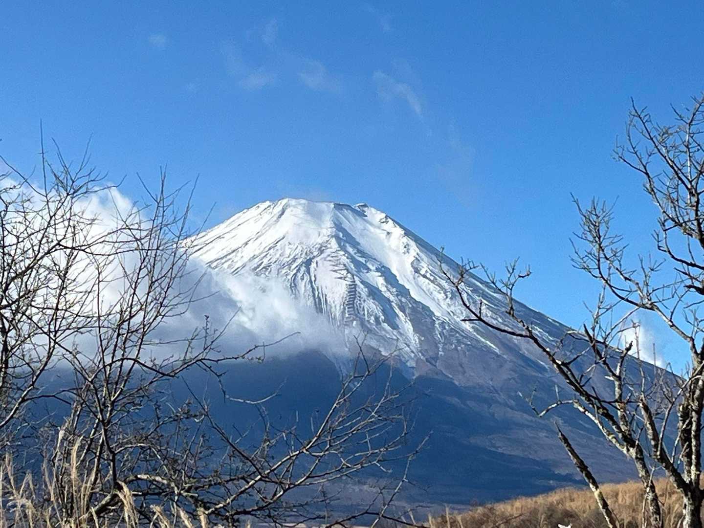 わーー綺麗