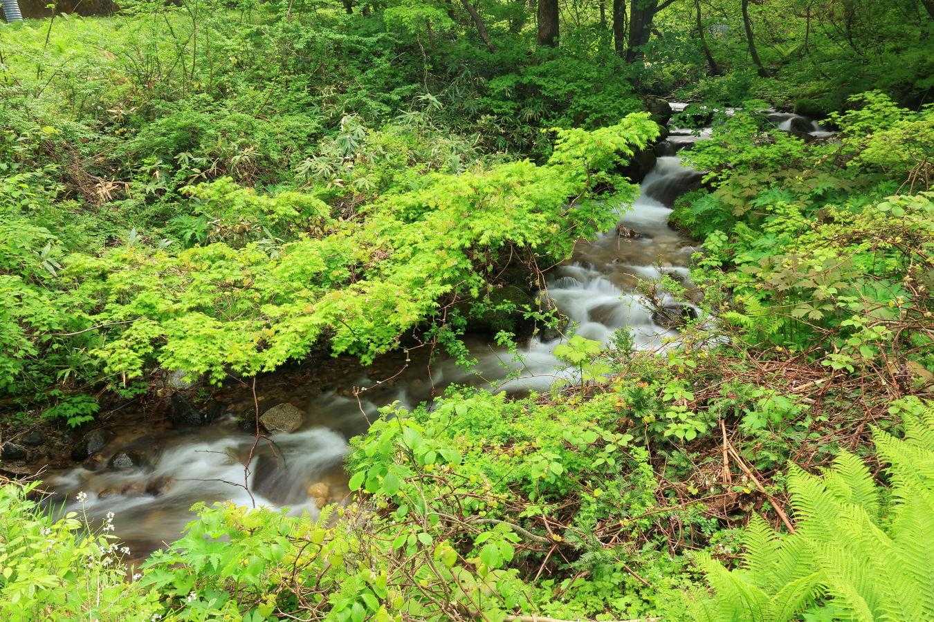 川桁山登山道入口-川桁山 縦走コースの写真