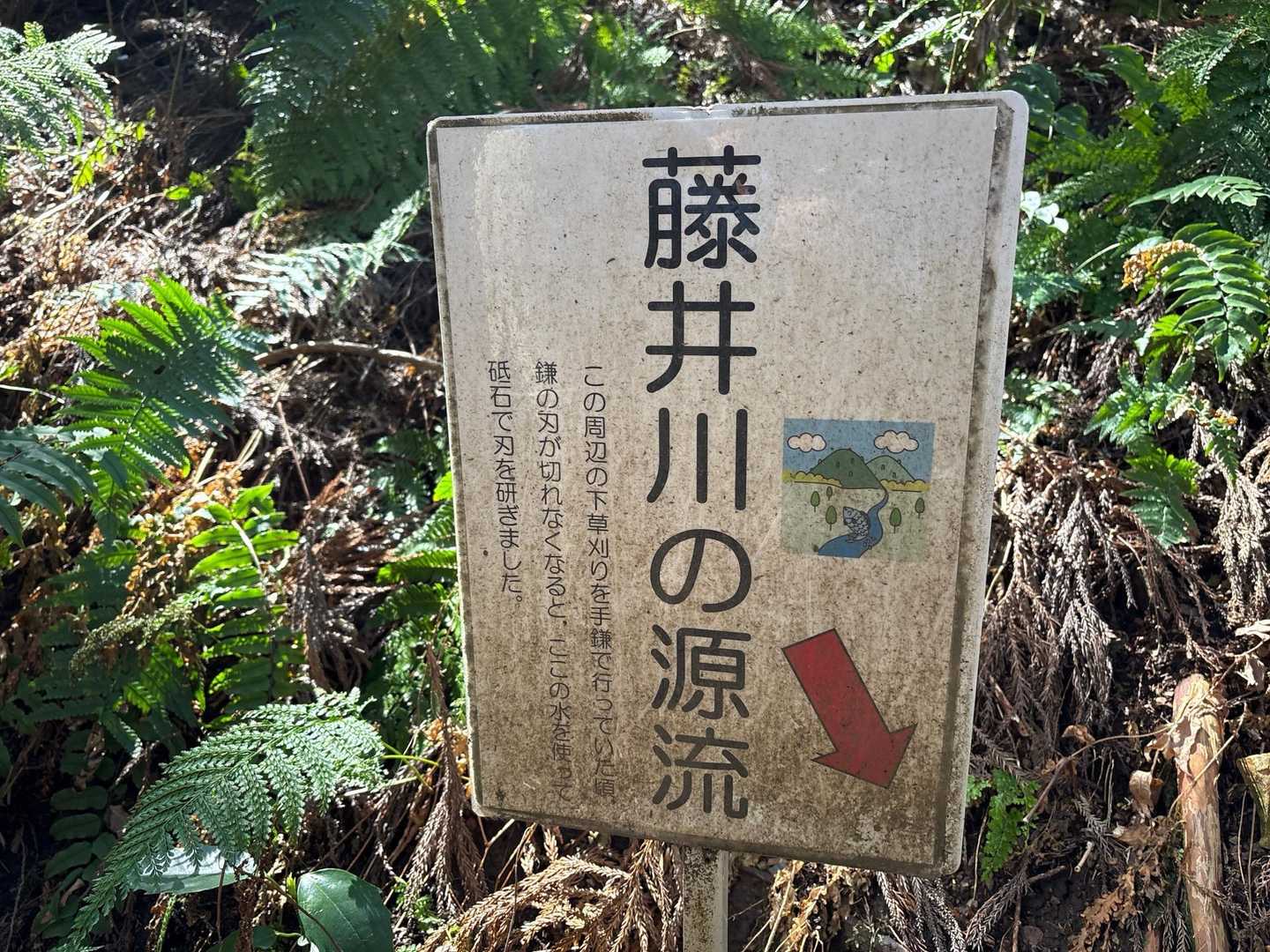 下山道の途中にあります😊
この後、林道を暫く歩いて、駐車場到着となりました