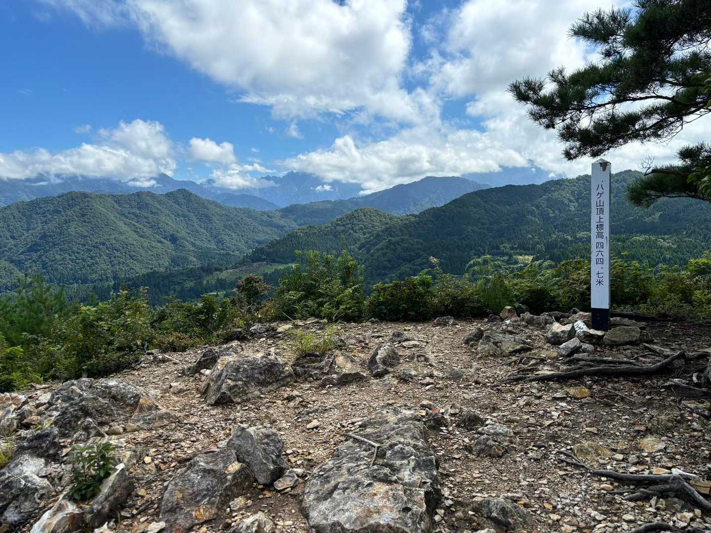 誰も居ないハゲ山