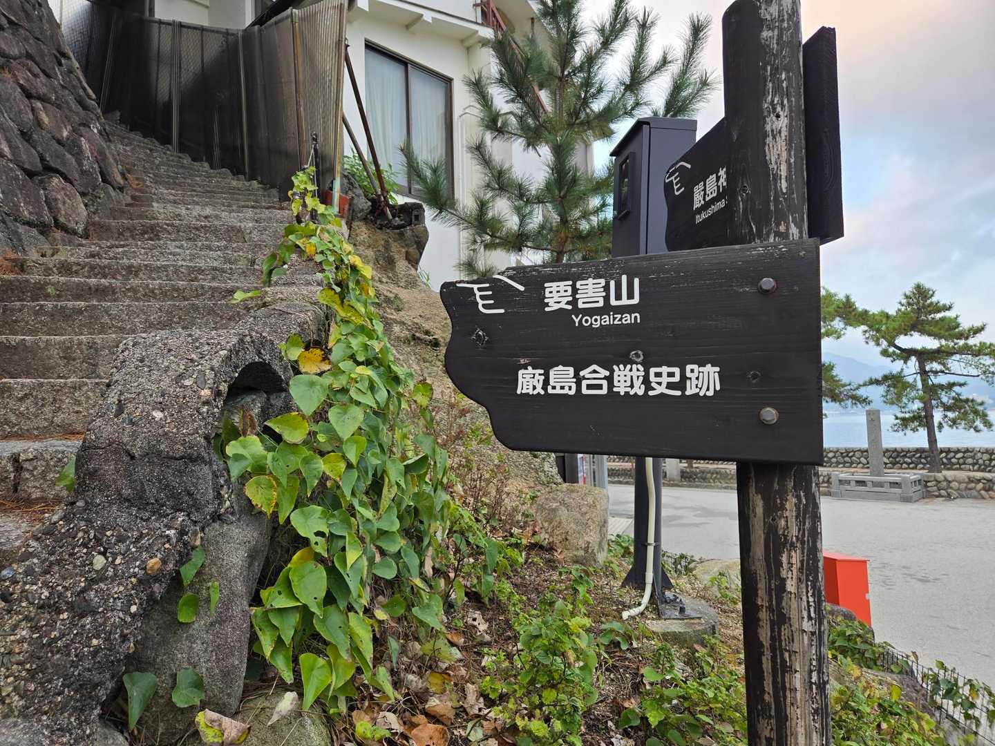宮島到着✨️
厳島神社へ行く前に要害山へ⛰️