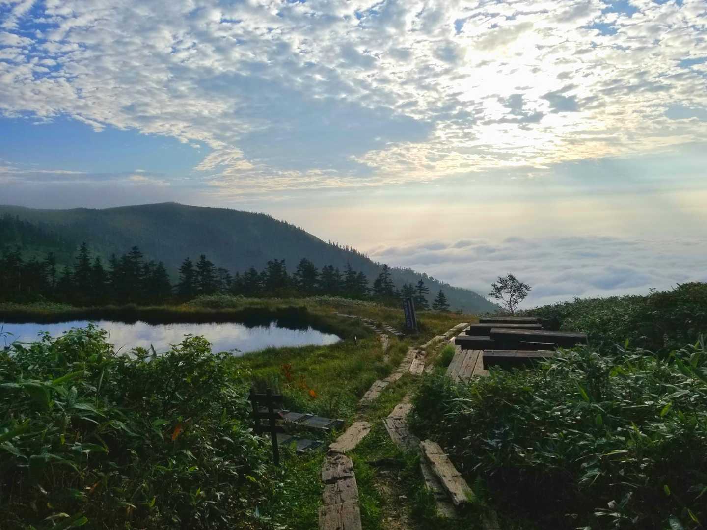 早朝の小屋前