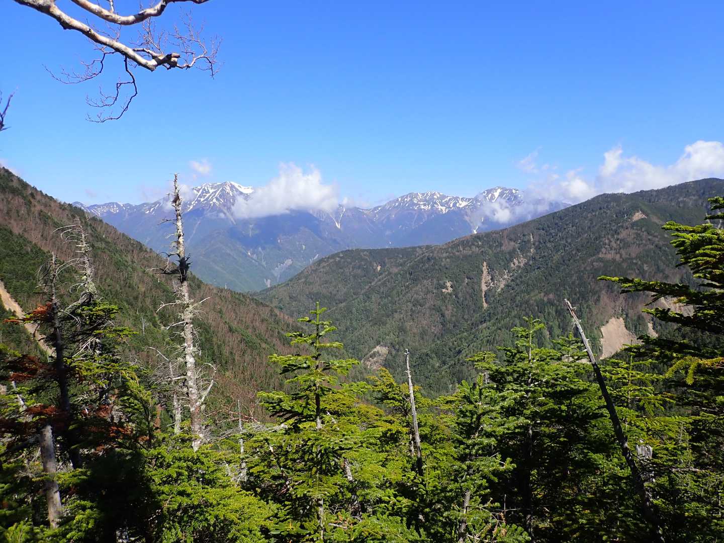笊ヶ岳登山口-笊ヶ岳 往復コースの写真