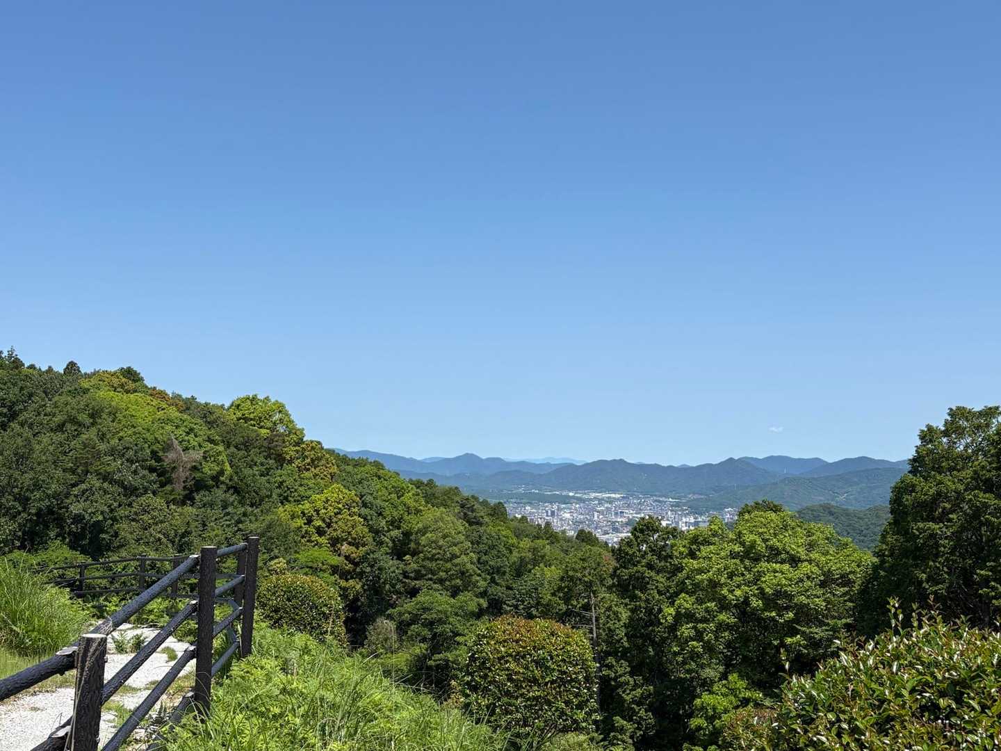 遊歩道からの景色