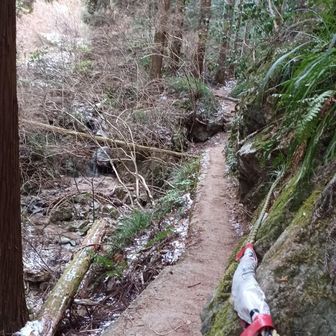 さて、参りましょう🎶