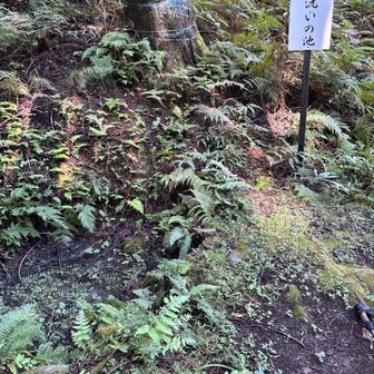 首洗いの池