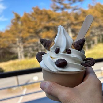 カモシカソフト600円
高峰温泉ランプ宿で日帰り温泉♨️700円
