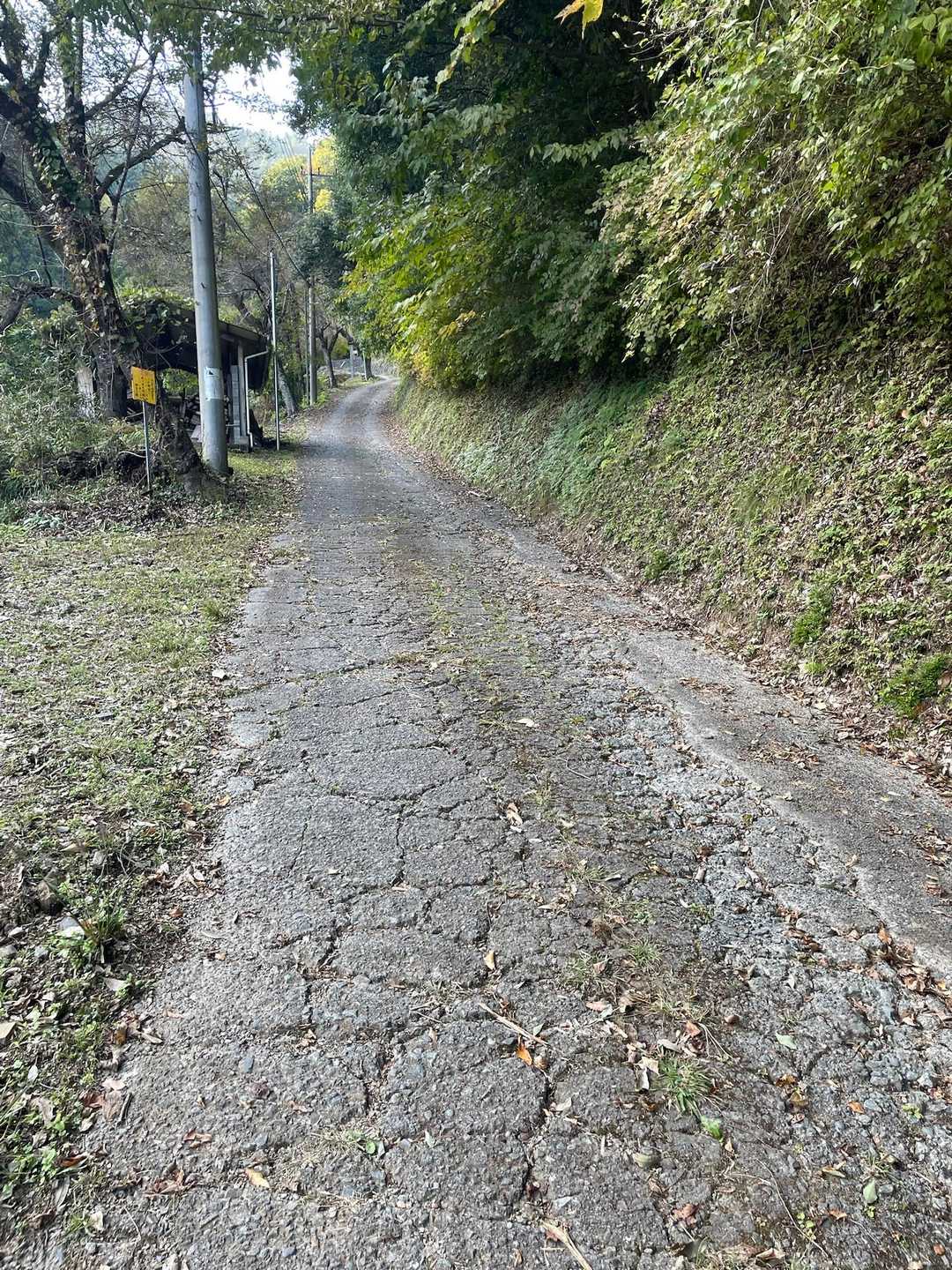 最後も長い長いこんな道を帰りました