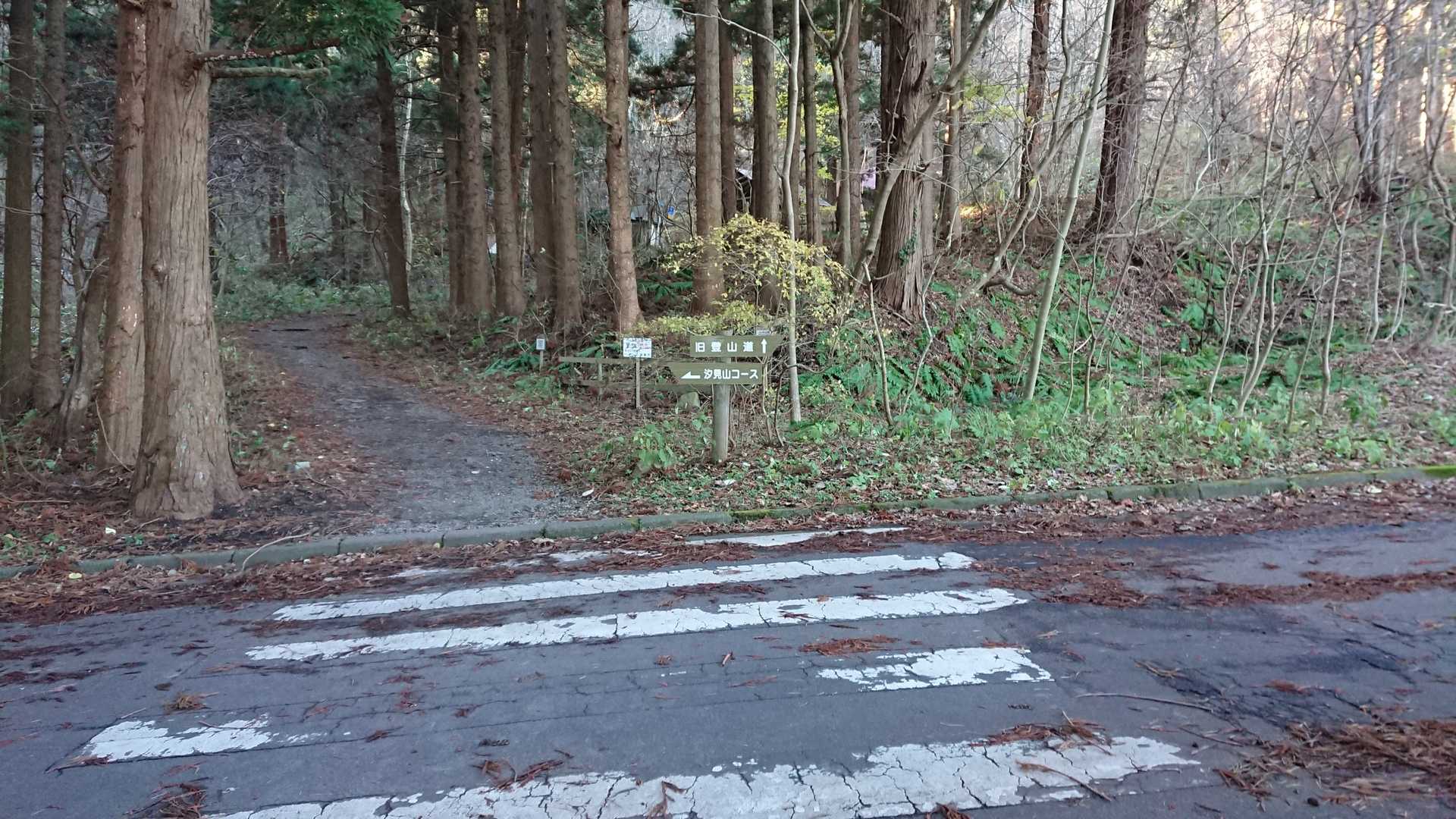 横断歩道を渡り、左へ
⚠️まっすぐは行きませんでした。