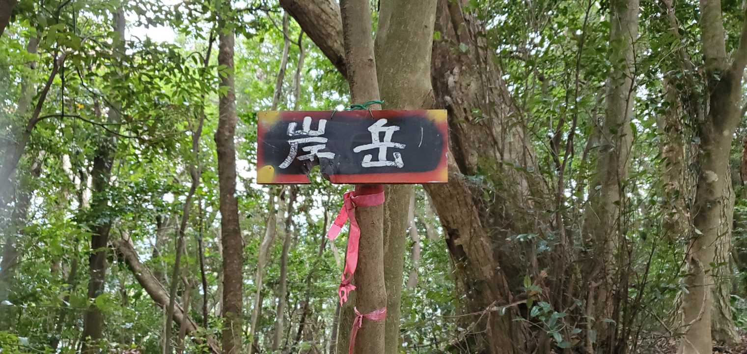 山頂です