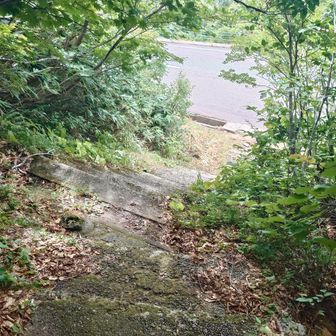 黙々と歩き登山口到着！
着替えて鉾立通って象潟へ向かいます。
鉾立登山口周辺は沢山の路駐車でびっくり😮
大平口の🅿、よく空いてたなー
ラッキー！

