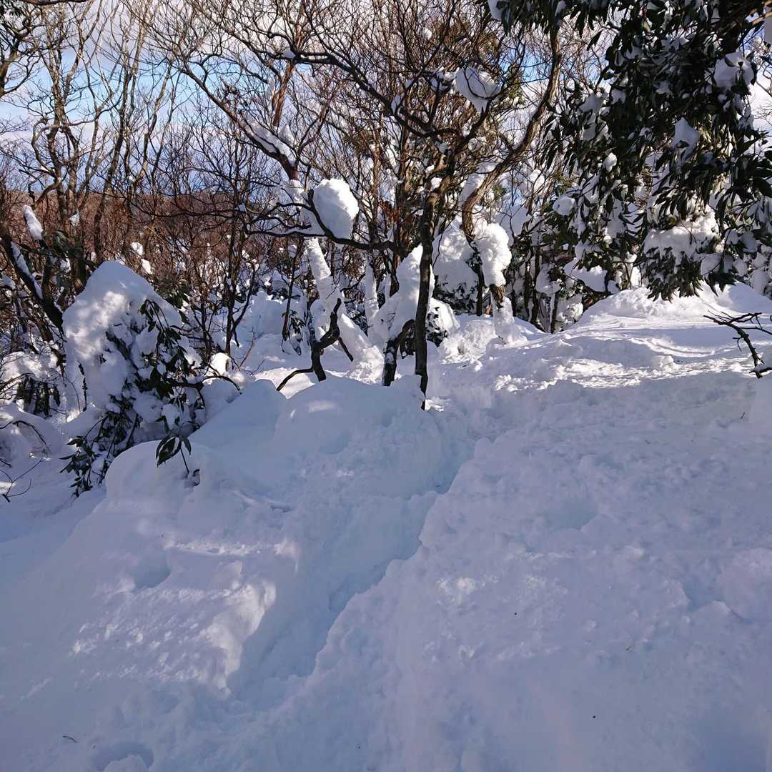 ヤケ山-ヤケオ山 往復コースの写真