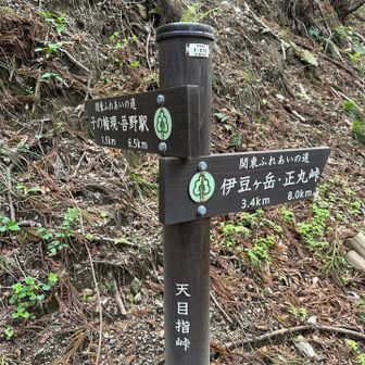 吾野駅方面へ🚉