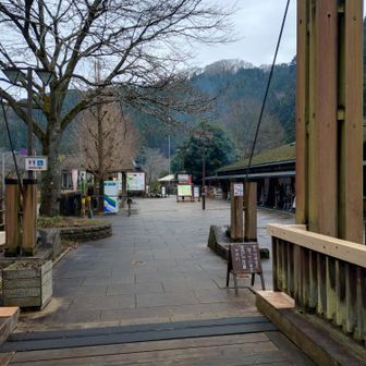 仔牛がいました
売店もありましたが⋯今日は休園でしょうか