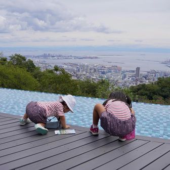 落ちないかヒヤヒヤ💦