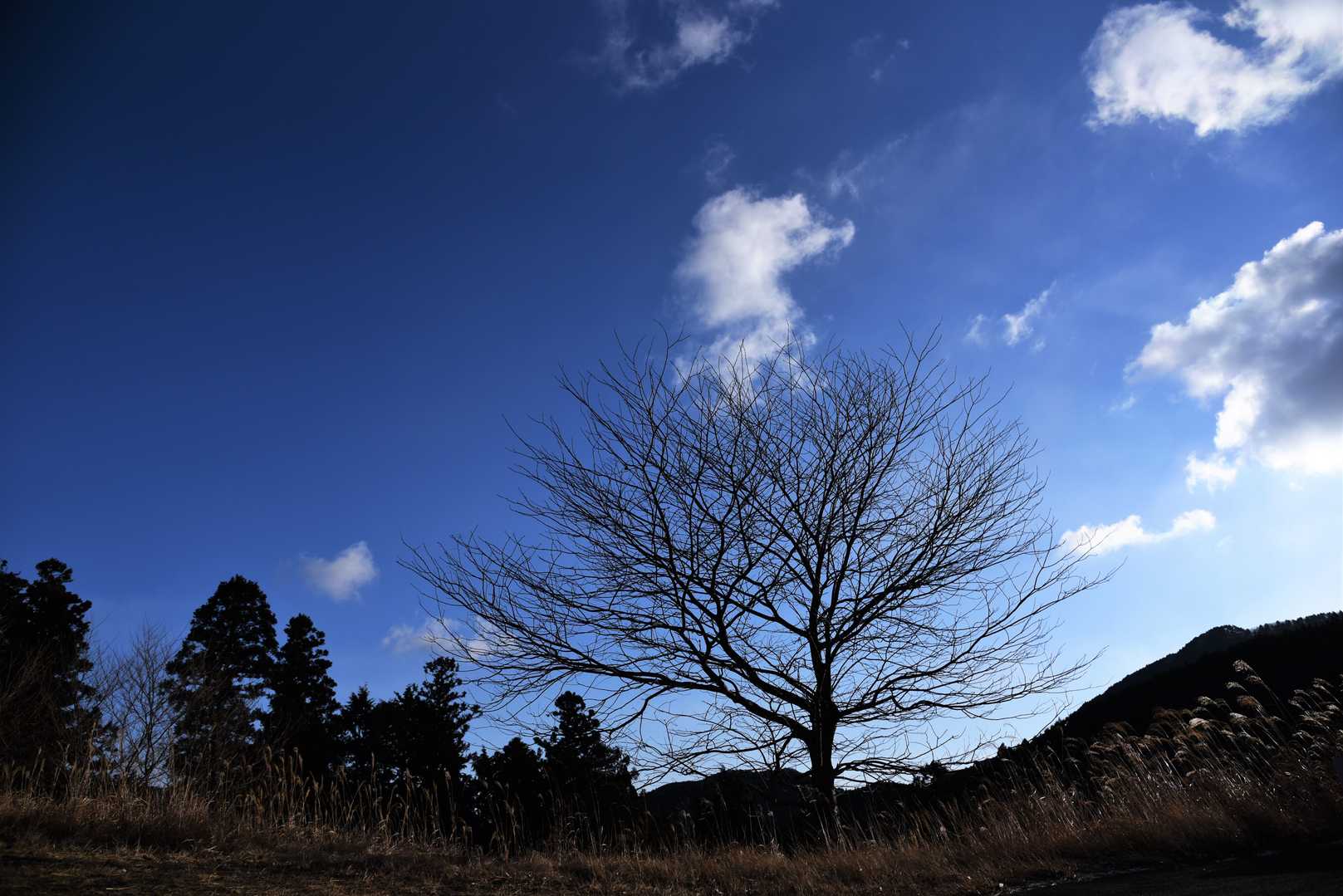 まぁ 天気良いし、雪歩きだけ楽しもう😊