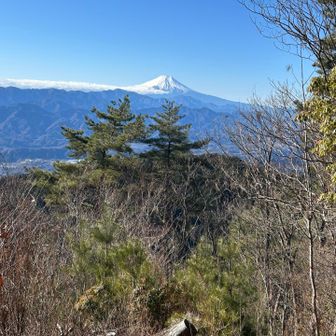 先が長いのでスタート
途中葉が落ちた木の間からしばらく富士山楽しめました