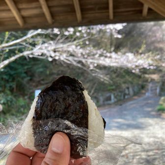 長学寺でおににり🍙桜の木にヤマガラちゃんが来てくれた♪