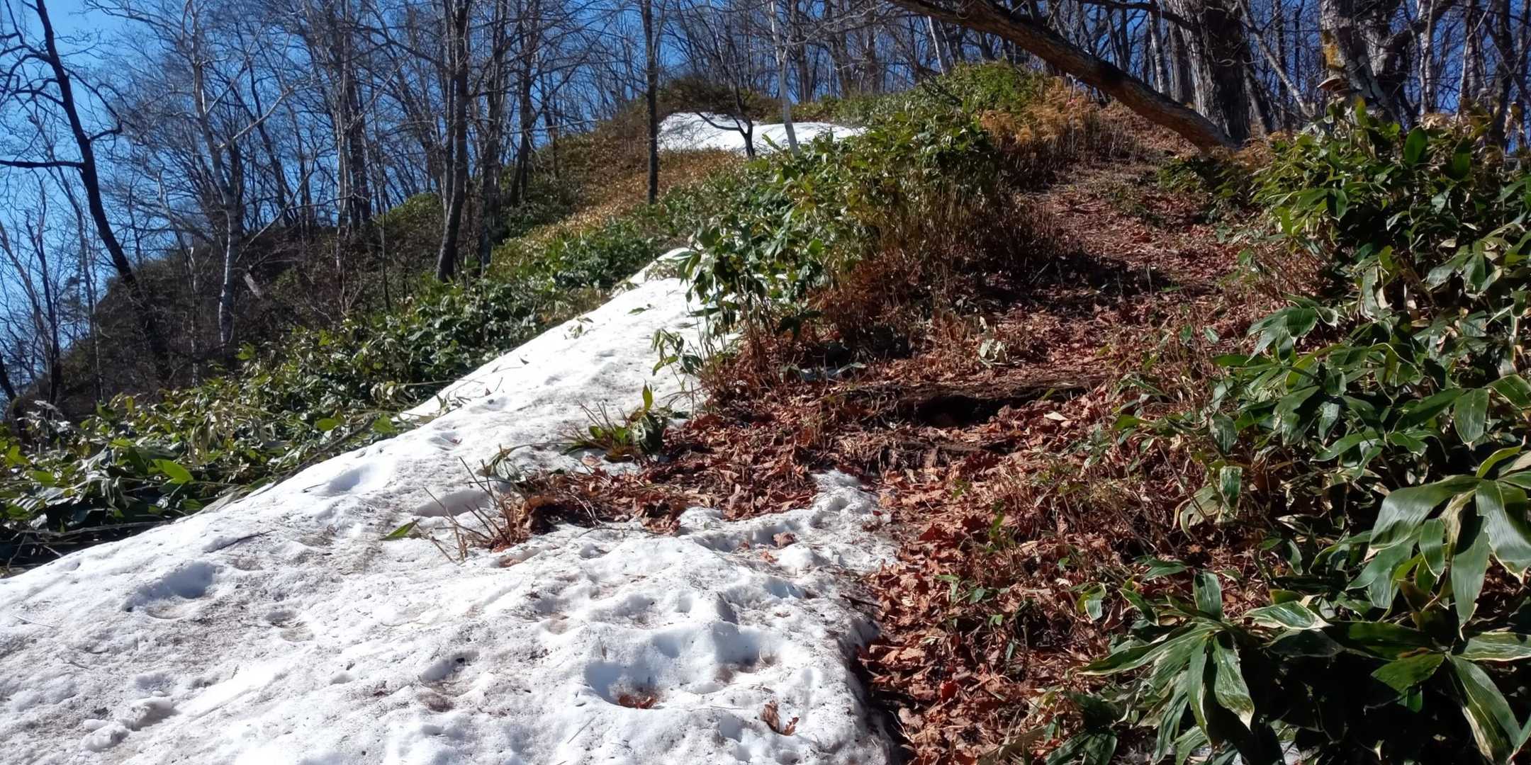 チェーン手前から雪あるも登山道は問題なし。
　この後、一の森でスマホ落としたことに気付く。1時間くらい探してました。さとっちゃさんの連れの方が見つけてくれました。ありがとう😆💕✨
