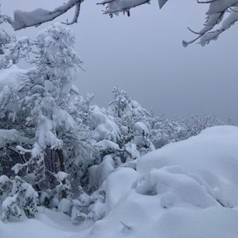 当然、菅名山塊は見えず🙅‍♂️