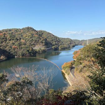 苦手なダム沿いロード3km🏃‍♂️
ここのロードが1番キツいと思う🫠笑
今日もいい天気だー☀️寒いけど🥹